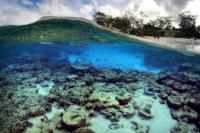 Great Barrier Reef di Australia Alami Pemutihan Massal