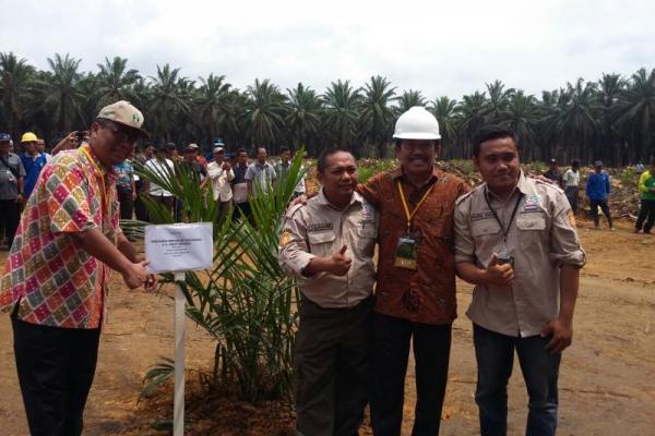 Pengembangan kelapa sawit di Indonesia sampai saat ini telah memberikan peranan yang sangat penting dalam perekonomian Indonesia. 