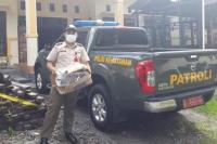 Kementan Gagalkan Upaya Penyelundupan Biawak dan Ular ke Jakarta