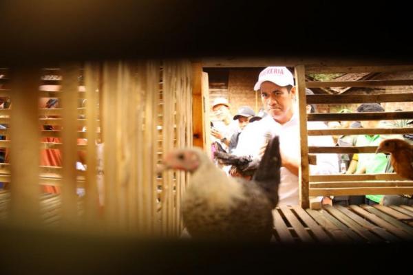 Kementerian Pertanian akan menggelar operasi pasar telur ayam dengan harga yang sama dengan harga dari peternak atau produsen di kota-kota besar. Salah satunya, DKI.
