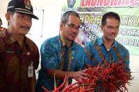 Potong Rantai Pasok, Kementan Gelar Pasar Lelang Hortikultura