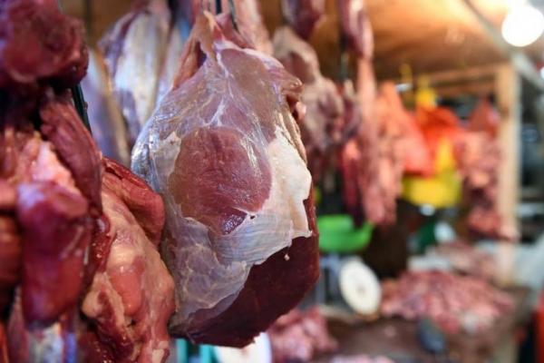 Jumlah stok daging sapi dan kerbau impor per 14 Januari ini ada sekitar 21,98 ribu ton.