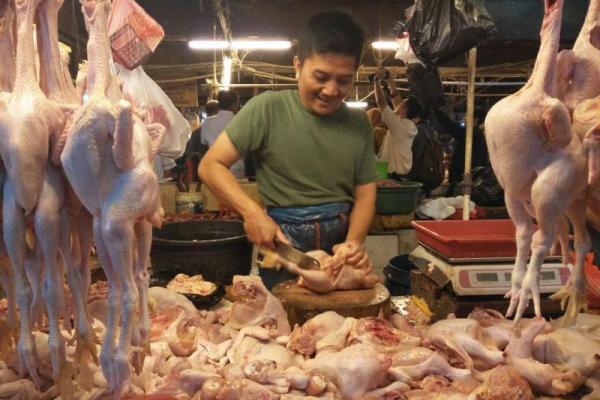 Kenaikan ayam potong di tingkat peternak tidak berpengaruh pada kondisi harga ayam daging di tingkat konsumen.