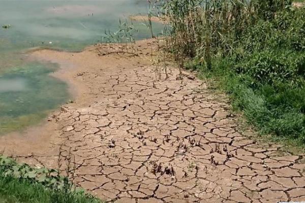 Irak terancam kekurangan pasokan aie setelah tingkat aliran air menurun di Sungai Tigris dari negara tetangga Turki.