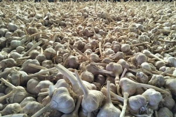 Di salah satu pedagang, harga bawang putih mencapai Rp80.000 per kilogram.