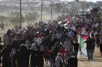 Tiga Warga Palestina Tewas di Perbatasan Gaza