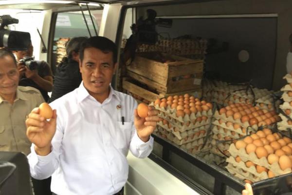 Amran menjelaskan berdasarkan hitung-hitungan pemerintah, ketersediaan telur masih surplus, bahkan pertama dalam sejarah Indonesia di 2018 ini mengekspor daging ayam dan telur tembus ke Jepang.