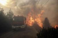 Singapura Kirim Nota Diplomatik ke RI terkait Kebakaran Hutan