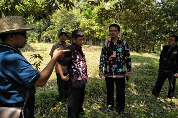 Rencana lokasi ekspo dan kontes durian lokal akan dilaksanakan di Nagari Salayo, Kecamatan Kubung, Kabupaten Solok pada bulan Desember 2018, pada saat sedang panen raya durian.