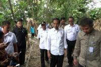 Presiden Jokowi Tinjau Pemanfaatan Dana Desa di Sleman
