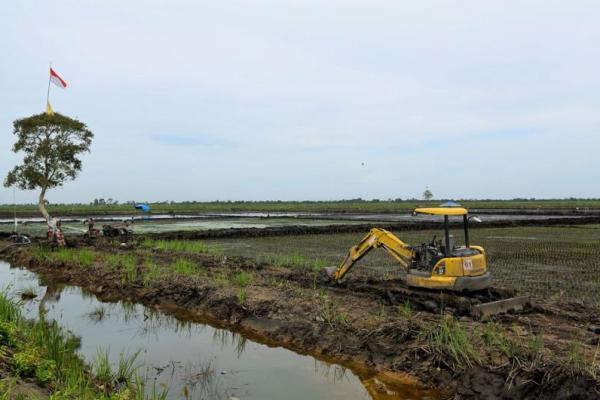 Luas baku lahan Kabupaten Pulang Pisau mencapai 35.441 hektare, yang didominasi oleh lahan rawa pasang surut dan lahan kering.