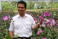 Menilik Prospek Bisnis Bunga Lily dan Anggrek