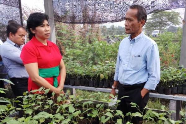 KWT binaan Dinas Ketahanan Pangan Bali ini sudah melakukan panen sejak Mei sampai Agustus. Dari hasil penjualan sayuran maupun bibit tanaman, telah terkumpul sebesar 2,5 juta rupiah.