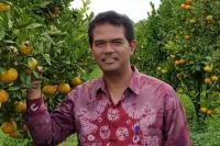 Petani Raup Untung Budidaya Komoditas Hortikultura Berkat Program Kementan