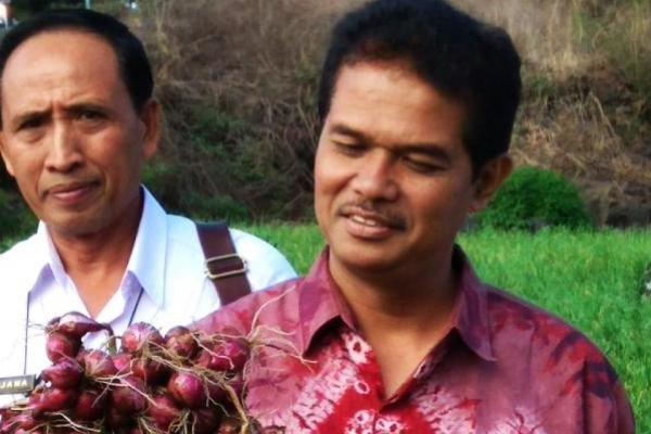 Di Bangli ada 1200 hektare  kawasan bawang merah tersebar di wilayah Danau Batur. Kabupaten Bangli dan Tabanan cukup untuk memasok pasar Bali