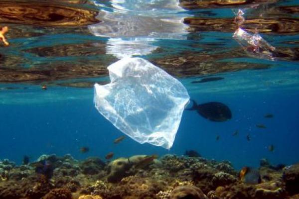 Yaksindo Sebut Kesimpulan Audit Sampah Plastik Sungai Watch Tidak Fair