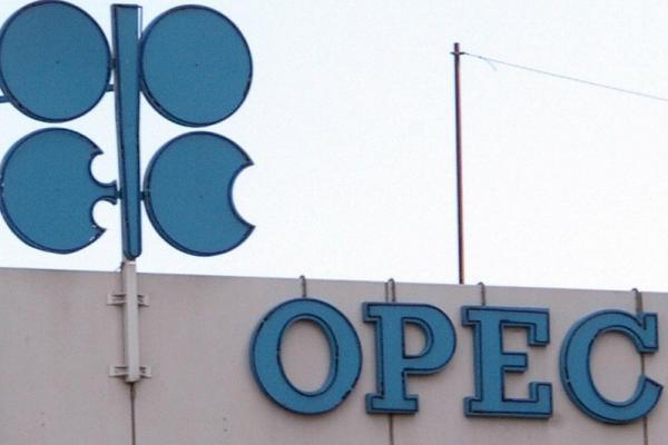Keputusan OPEC+ pangkas produksi bikin harga minyak dunia melonjak.
