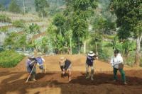 Tekad Petani Muda Dorong Indonesia Lumbung Pangan Dunia