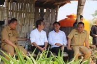 Kemendes PDTT Terapkan Smart Farming 4.0 di Kabupaten Situbondo