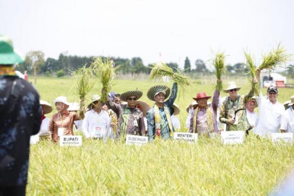 Ketua Kontak Tani Nelayan Andalan (KTNA) Winarno Tohir mengharapkan Presiden RI Terpilih Joko Widodo tidak mengendorkan kinerja pemerintah di sektor pertanian pada periode 2019-2024.