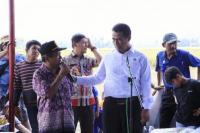 Di Sulawesi Tengah, Menteri Amran Panen Raya Padi 32.000 Hektare