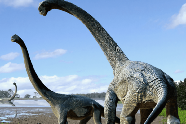 Sisa-sisa fosil dari tiga dinosaurus berasal dari kelompok herbivora sauropoda, di antaranya Diplodocus dan Brontosaurus.