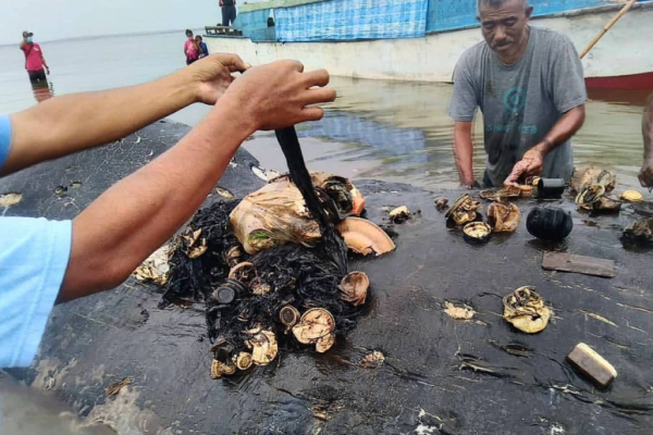 Terdapat kurang lebih 5,9 kilo sampah yang terdapat dalam saluran pencernaan Paus yang ditemukan mati terdampar di perairan Wakatobi.