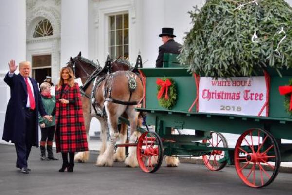 Istri dari Presiden Donald Trump, Melania Trump menerima pengiriman pohon Natal Gedung Putih Senin sore. Hal itu membuatnya menjadi wanita pertama sepanjang sejarah yang menerima kado pohon natal di gedung putih.