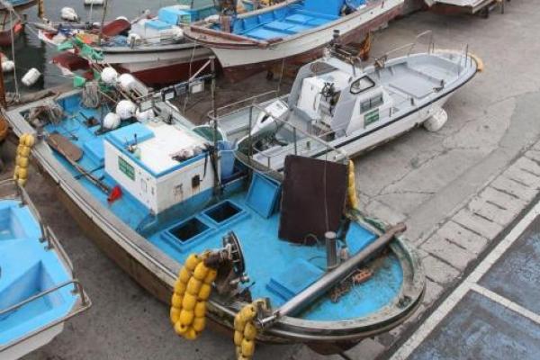 Korea Utara dilaporkan telah menangkap kapal nelayan Korea Selatan di perairan internasional sebelum melepaskan awaknya, di tengah usaha perbaikan hubungan Korut dan Korsel.
