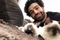 Mohammed Salah Terusik Pemerintah Mesir Eskpor Daging Anjing dan Kucing