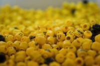 Demi Penelitian, Dokter Ini Nekat Telan Lego
