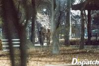 Kai EXO dan Jennie BlackPink Sempat Kencan di Taman