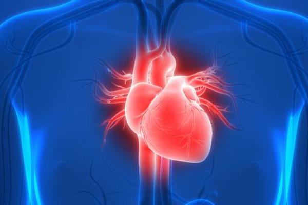Para peneliti mengambil berapa bagian sel jaringan dari 73 donor jantung yang dinilai tidak layak untuk transplantasi.