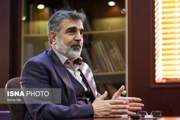 Kamalvandi juga mengatakan bahwa Iran masih belum dapat melakukan pemeriksaan pasca iradiasi (PIE). 