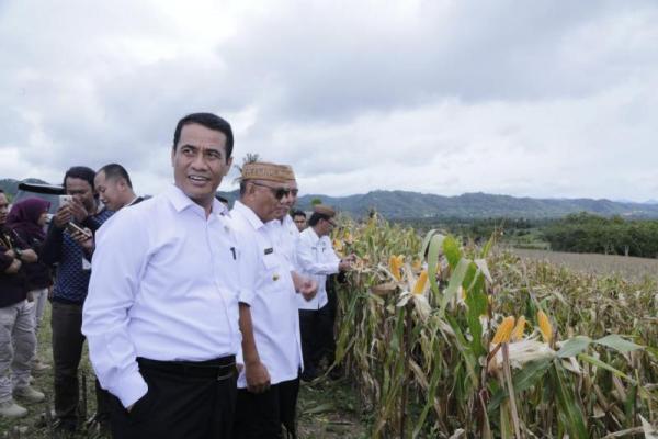 Selain bertatap muka dengan para petani, Amran juga akan bertatap muka dengan Gubernur Sulawesi Selatan dan para Bupati di Luwu Raya.