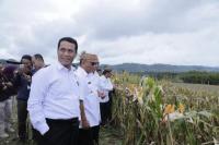 Besok, Menteri Pertanian Amran Sulaiman Dialog dengan Petani Luwu