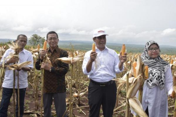 Amran mengimbau pengusaha-pengusah besar agar menyerap jagung petani sebesar-besarnya dengan harga terbaik untuk persediaan pada Oktober dan Desember.