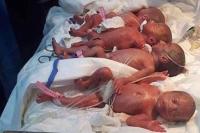 Viral, Perempuan di Irak Lahirkan 7 Bayi Kembar