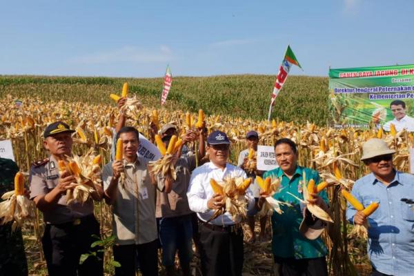 Berdasarkan data prognosa jagung tahun 2018 dari Badan Ketahanan Pangan, total penggunaan jagung di Indonesia sebesar 15,58 juta ton.