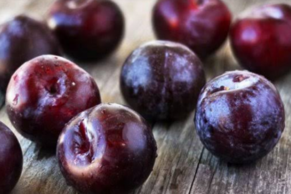 Studi menjelaskan bahwa plum bukan hanya buah yang segar tapi memiliki banyak manfaat kesehatan.