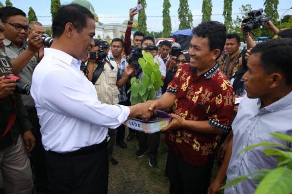 Amran menambah bantuan kakao untuk Provinsi Sulawesi Selatan sebanyak 500 ribu batang.