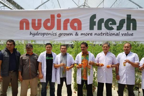 Nursyamsu pemilik Nudira Farm menambahkan budidaya menggunakan green house ini salah satu contoh bertani berbasis teknologi 4.0.
