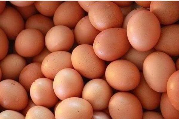 Harga eceran rata-rata untuk selusin telur 