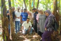 Kemitraan Tingkatkan Kinerja Ekspor dan Kesejahteraan Petani Pisang di Lampung