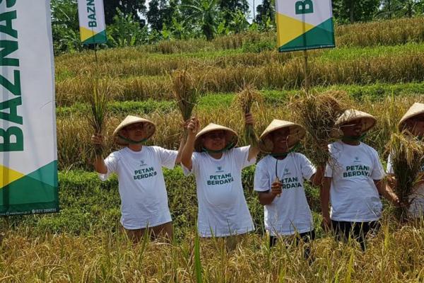 Program pemberdayaan ekonomi yang dikembangkan Baznas di Karawang telah dimulai sejak Oktober 2018, dilanjutkan dengan masa tanam padi mulai Desember 2018