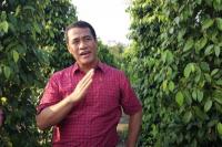 Lada Asal Belitung Diekspor ke Belasan Negara