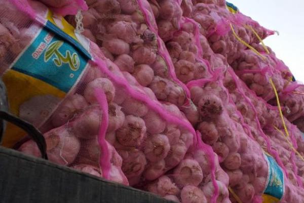 Harga bawang putih yang sempat di angka Rp60.000 dan ditarget berada di angka Rp25.000 kini merangsek ke angka Rp19.000.