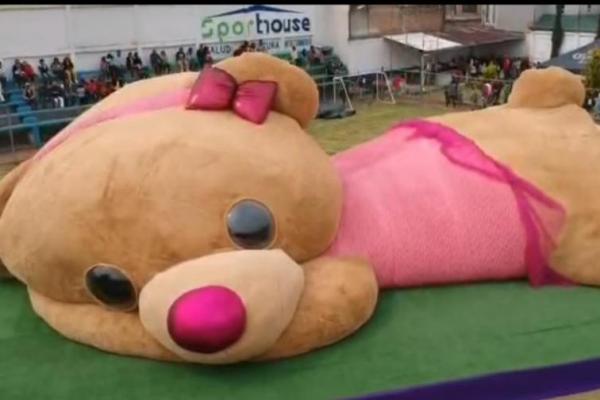 Boneka teddy bear sepanjang 65 kaki (19,5 meter) yang membutuhkan waktu lebih dari tiga bulan untuk dijahit bersama di Meksiko