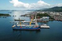 INSA: Biaya Layanan di Pelabuhan Indonesia Paling Mahal di ASEAN dan Hongkong