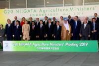 Di Jepang, Mentan Amran Ajak Forum G20 Perhatikan Petani Kecil dan Generasi Muda
